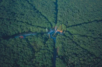 La forêt de Tronçais tourisme-Le Refuge des Vaures-gîte-Hébergement nature-détente-location vacances-séjours-auvergne-vichy