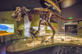 Le Paléopolis-Le Refuge des Vaures-gîte-Hébergement nature-détente-location vacances-séjours-auvergne-vichy