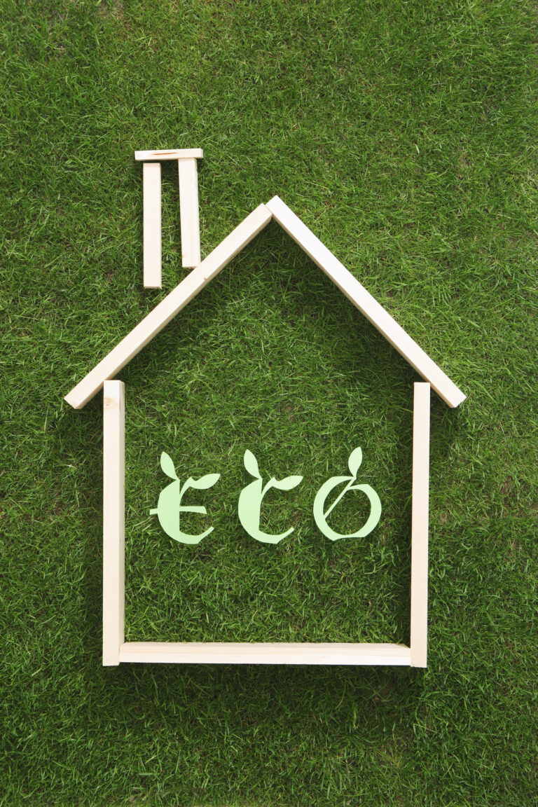 Gite écologique, vivez une expérience unique de tourisme durable